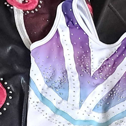 Gymnastics leotard bundle - bundle, of