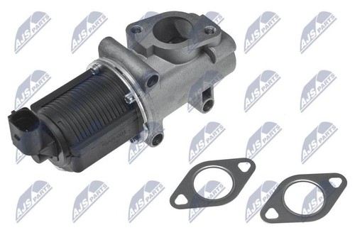 Egr valve for - valve,