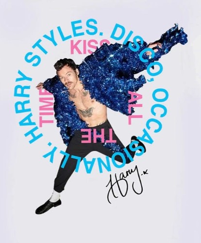 Harry styles disco - harry,
