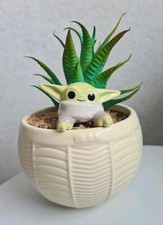 Disney Parks Faux Succulent