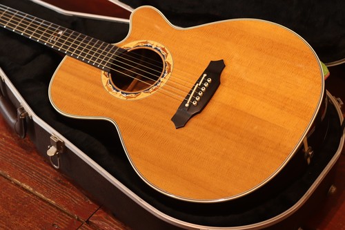 Takamine dolphin 2001 limited - dolphin,