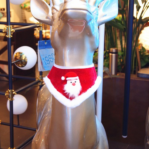 Christmas pet adorable - adorable, santa