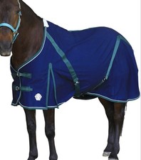 T TEKE New Deluxe Horse Canvas