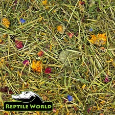 Tortoise Edible Bedding | Readi Grass, Flower & Leaves, Botanical Bedding Food