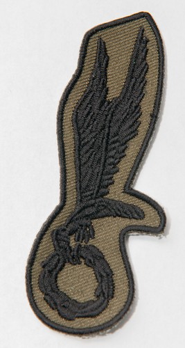 Polish airborne parachute - polish,