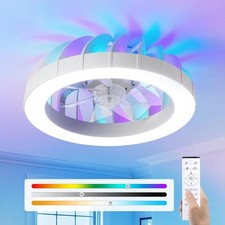 Ceiling Fans with Lights and