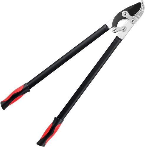 Loppers for tree trimming - tree,