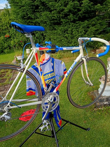 Team raleigh castorama - raleigh, replica