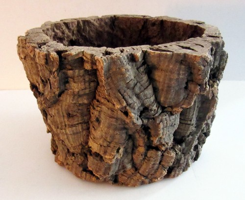 Large natural cork flower - flower, pot