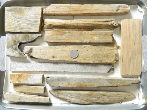 Driftwood pieces flat one - driftwood,