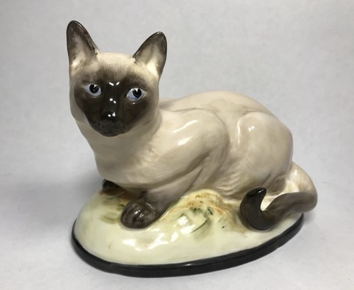 Siamese cat rye china - cat,
