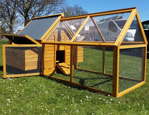 Large chicken coop - coop, hen