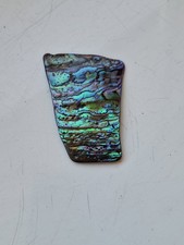 Abalone Shell See Pictures For