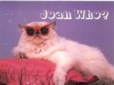 ATHENA  POSTCARD CAT