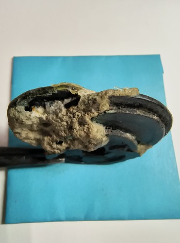 Chinese shipwreck clump - shipwreck, of