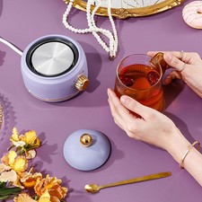›Portable Electric Kettle
