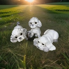 3 8” Rare LARGE Bichon