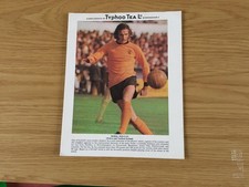 DEREK DOUGAN - TYPHOO TEA