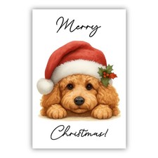 Poodle Apricot Christmas Dog