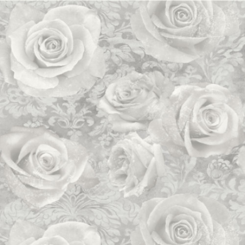 Luxury grey roses silver - grey,