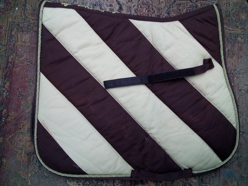 Smart equitheme two tone - two, brown