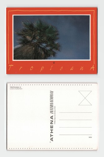 Postcard tropicana palm - tropicana, iv
