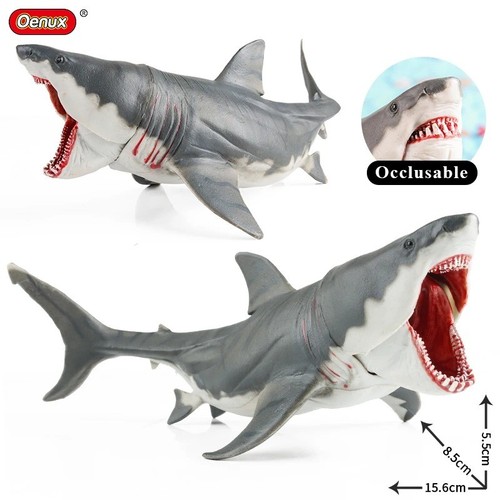 Large shark ocean animal - ocean,