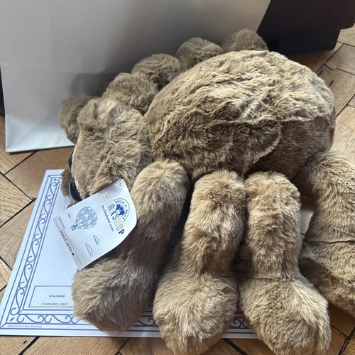 Bnwt build bear 2026 - -, a