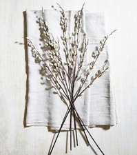 The White Company Pussy Willow