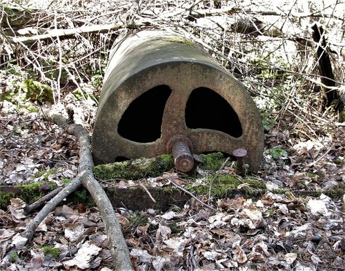 Photo 12x8 field roller - field, at
