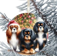 Cavalier King Charles Spaniel