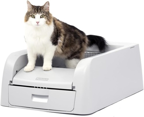 Self cleaning cat litter - cat, box