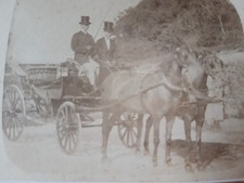CDV Fine Horses & Carriage