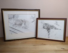Cat Pictures Prints X 2 Pencil