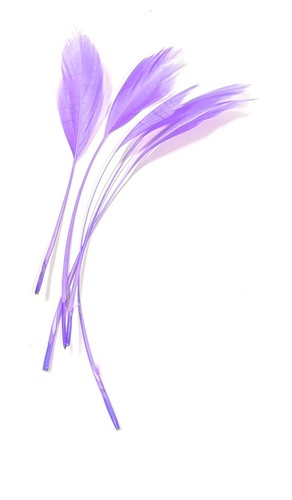 Long fascinators feathers - fascinators,