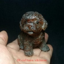 2.7 Inch Japanese Boxwood