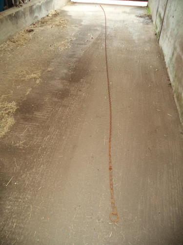 Horse pony tether - pony,