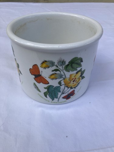 Portmeirion botanic plant pot - portmeirion,