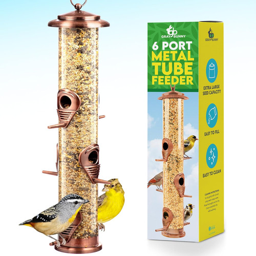 Squirrel proof bird feeders - squirrel,