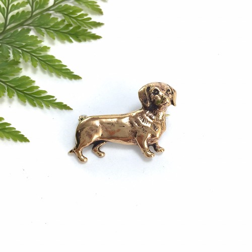 Sally cute dachshund sausage - sally,