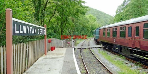 Photo the intermediate - photo,