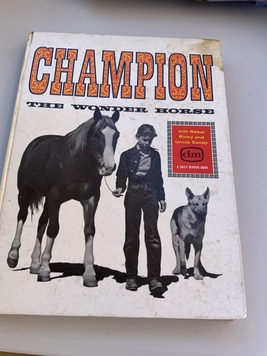 Champion the wonder horse - champion,