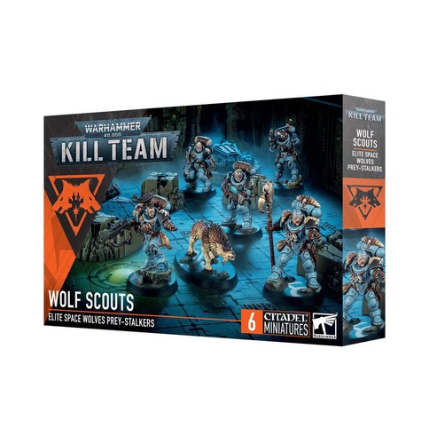 Kill team wolf - scouts, (space