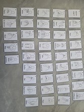 makaton stage 6 flash cards