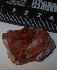 Mexican Fire Opal Rough 61ct