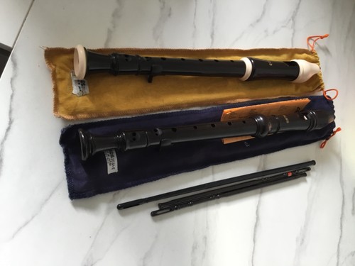Bundle aulos descant - 2, /