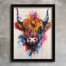 Colourful highland cow animal - highland,
