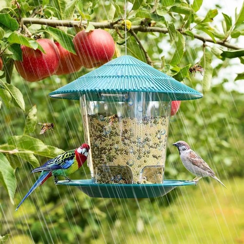 Hanging wild bird feeder - hanging,