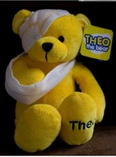 Theo The Bear Mascot for The