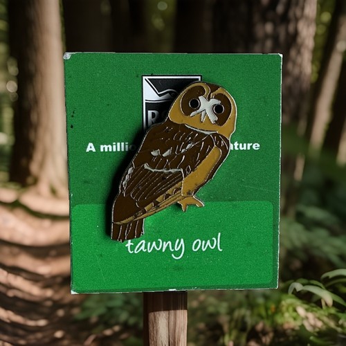Rspb pin badge tawny owl - pin, on